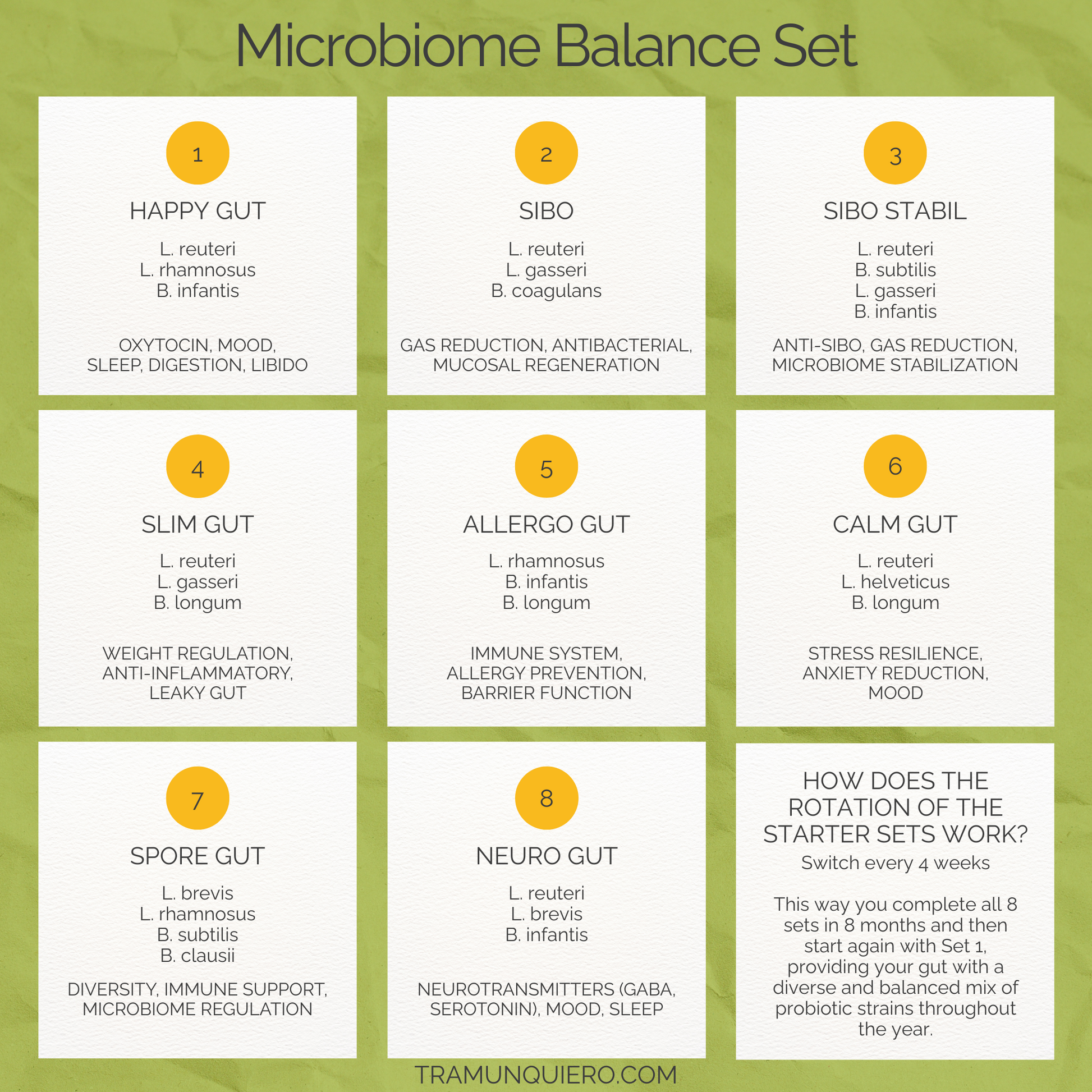 Ensemble d'équilibre du microbiome