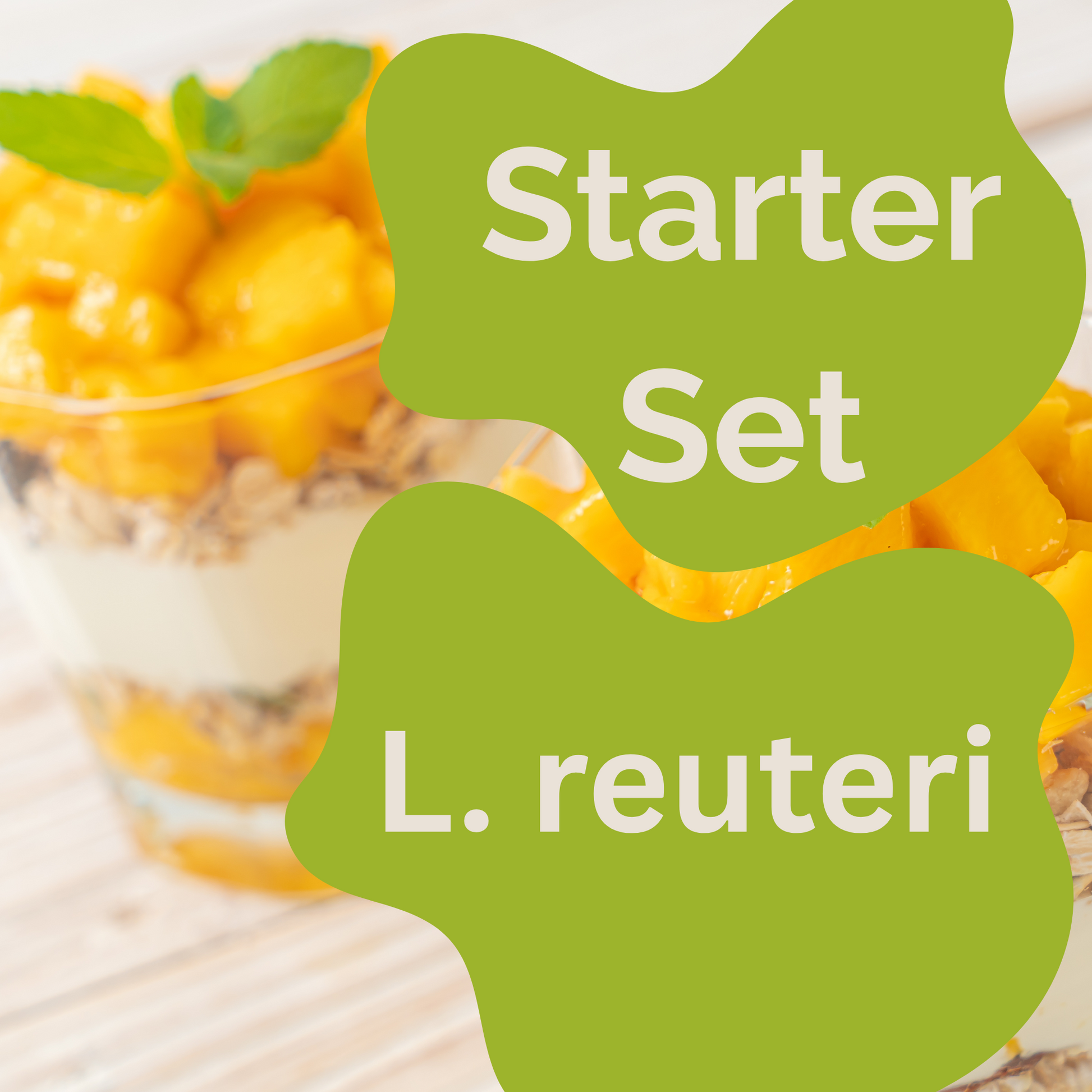 Starter-Set yaourt L. reuteri