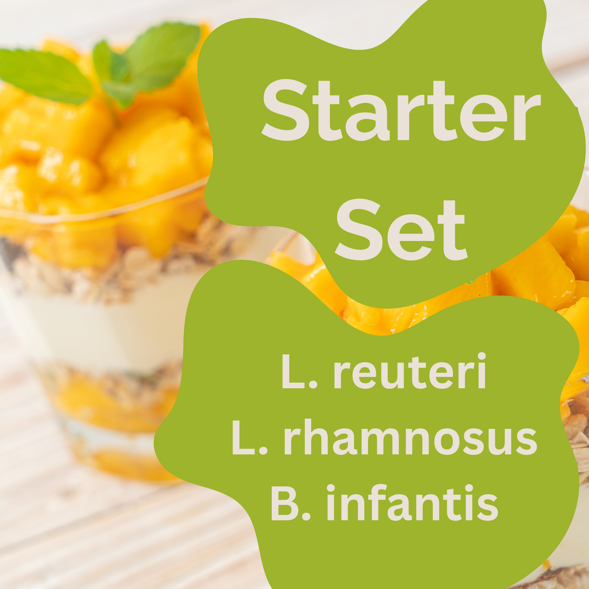 L. reuteri、L. rhamnosus、B. infantis ヨーグルト用スターターセット