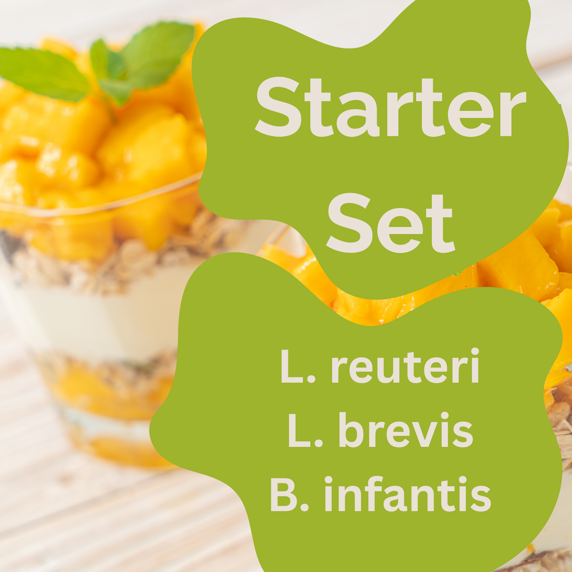 スターターセット「ニューロガット」 | L. reuteri、L. brevis、B. infantisヨーグルト