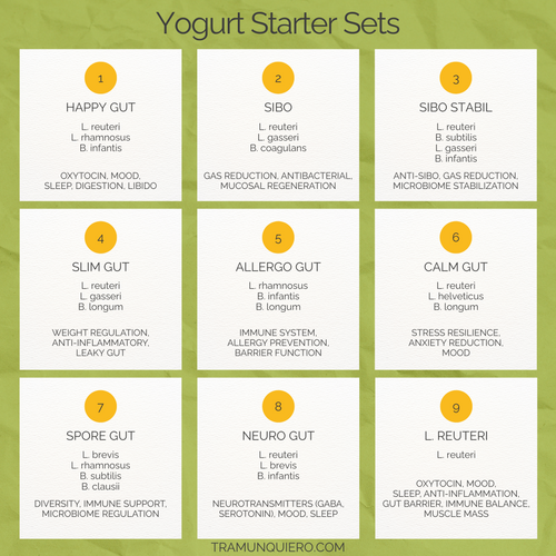 Starter-Set L. reuteri, L. gasseri, B. coagulans-Yaourt | Yaourt SIBO